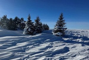 ورود سامانه بارشی به کشور از 14 دی