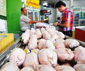 کاهش قیمت مرغ گرم به 47 هزار تومان