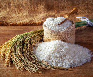 نگهداری برنج خام برای مدت طولانی بدون خراب شدن